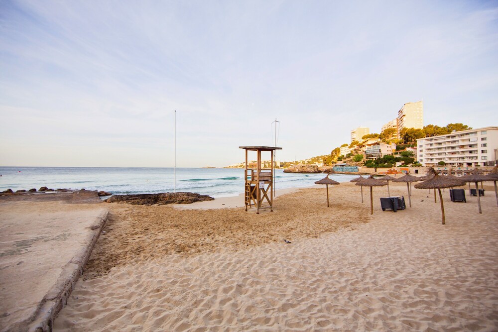 Beach/Ocean View