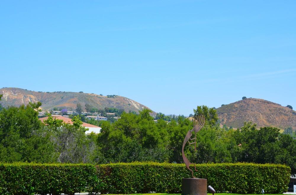 View from Hotel