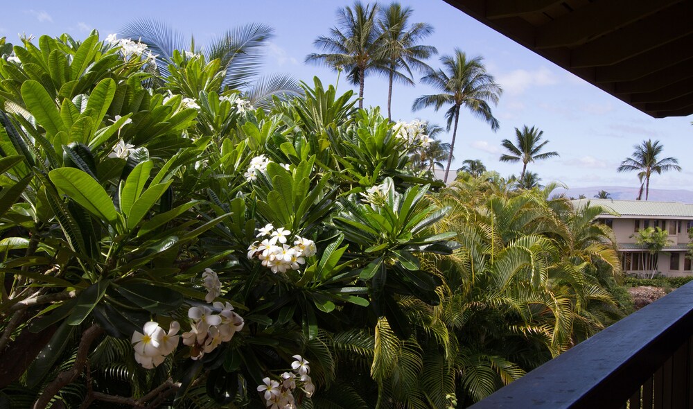 Studio, 1 King Bed, Garden View - Balcony