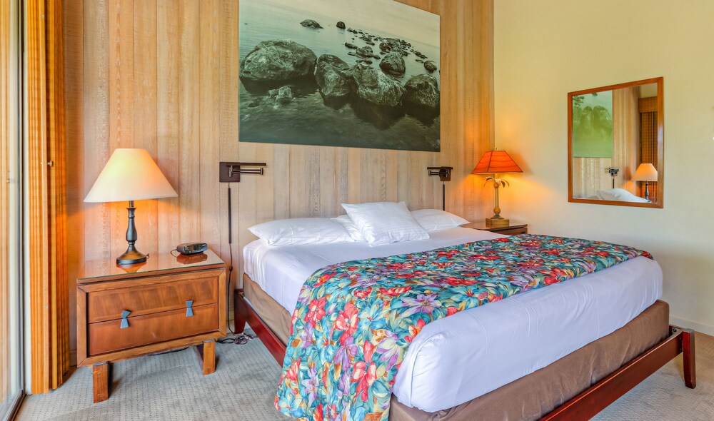 Studio, 1 King Bed, Garden View - Guestroom