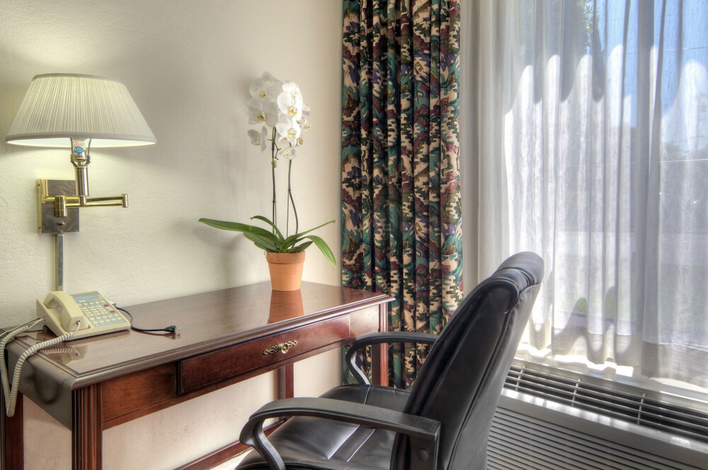 Guestroom View