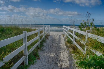 Beach/Ocean View