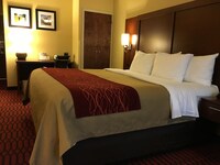 Standard Room, 1 King Bed with Sofabed, Non Smoking (2 Person Sofa Bed)