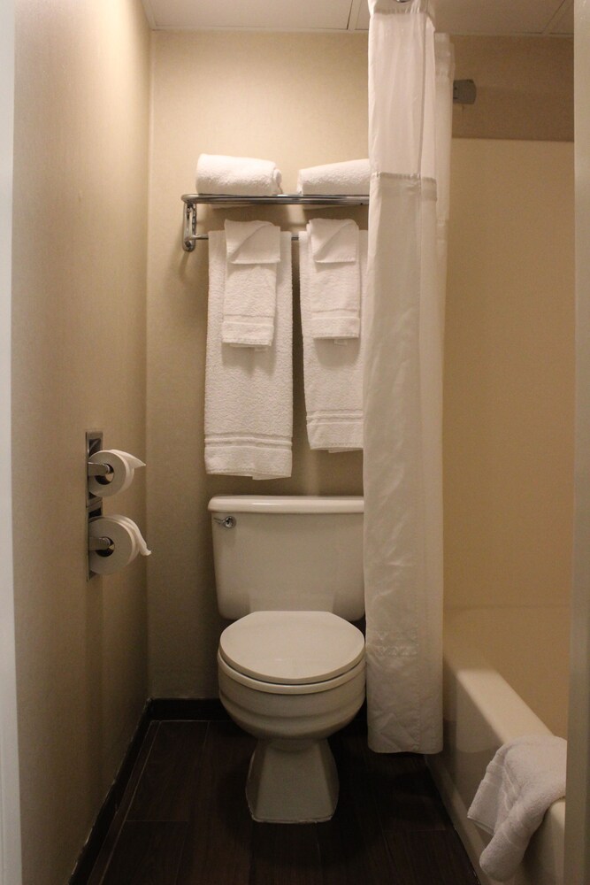 Bathroom, Best Western Rochester Marketplace Inn