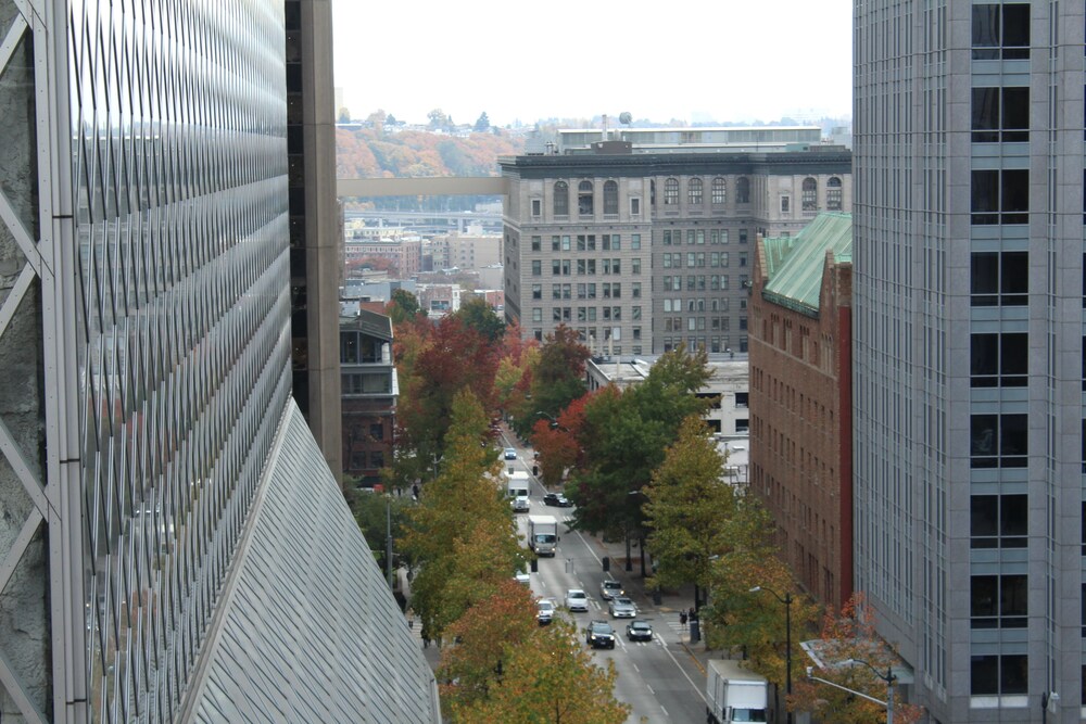 View from Hotel