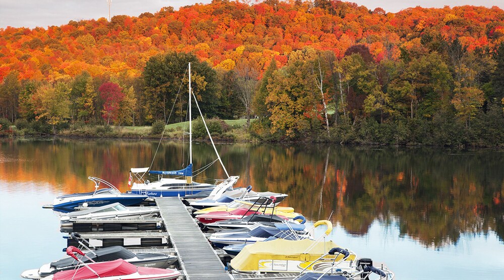 Lake View