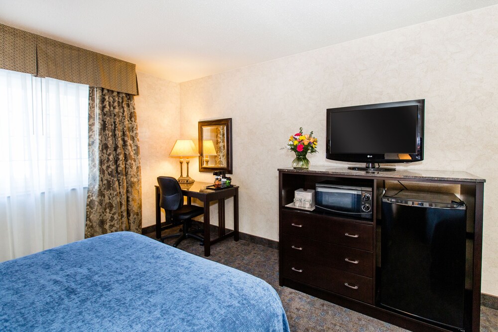 In-Room Amenity