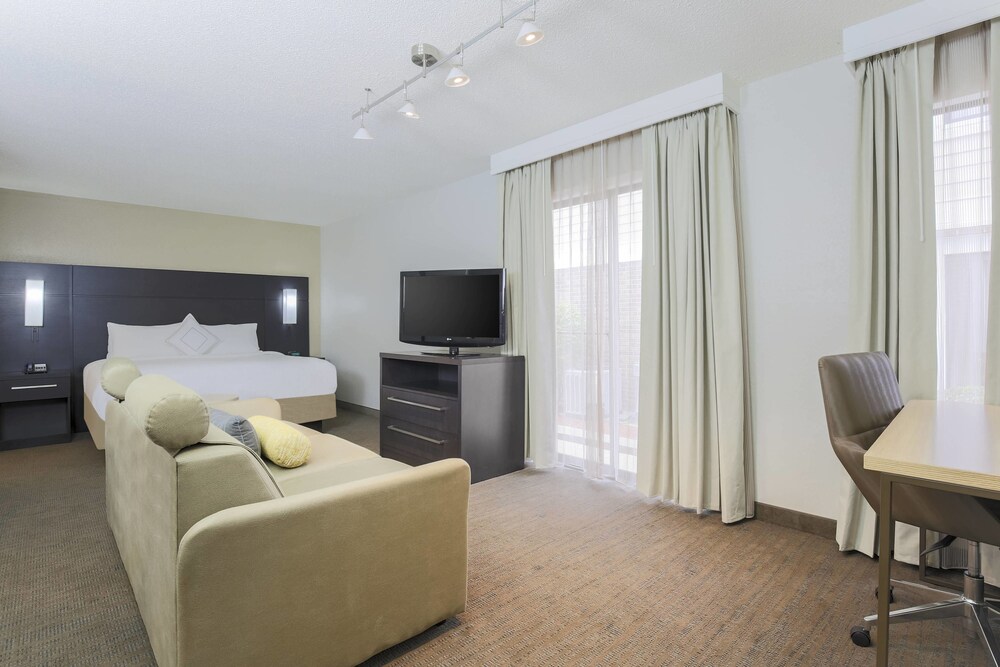 Studio, 1 King Bed with Sofa bed - Room