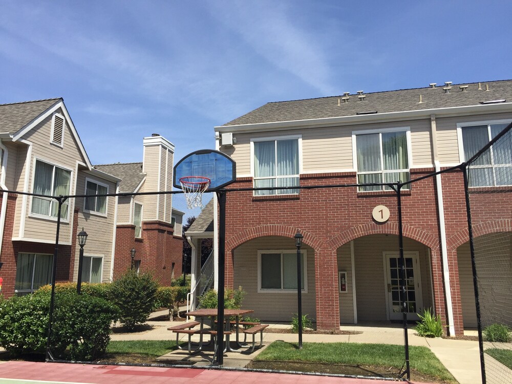 Basketball Court