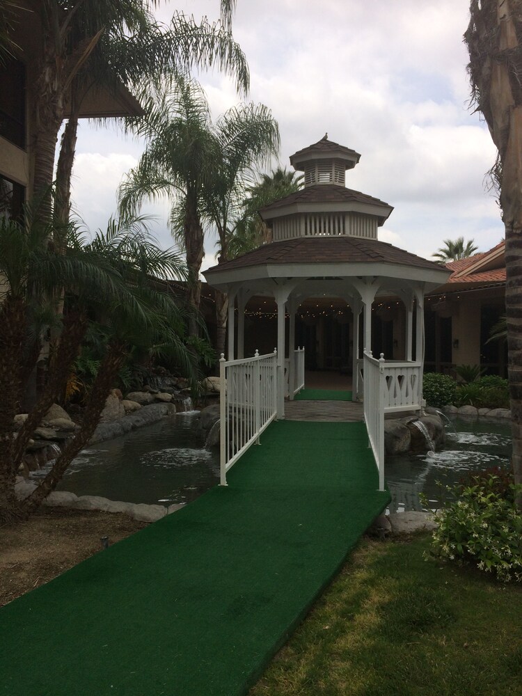Outdoor Wedding Area