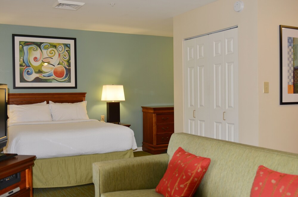 Studio, 1 Queen Bed with Sofa bed - Guestroom