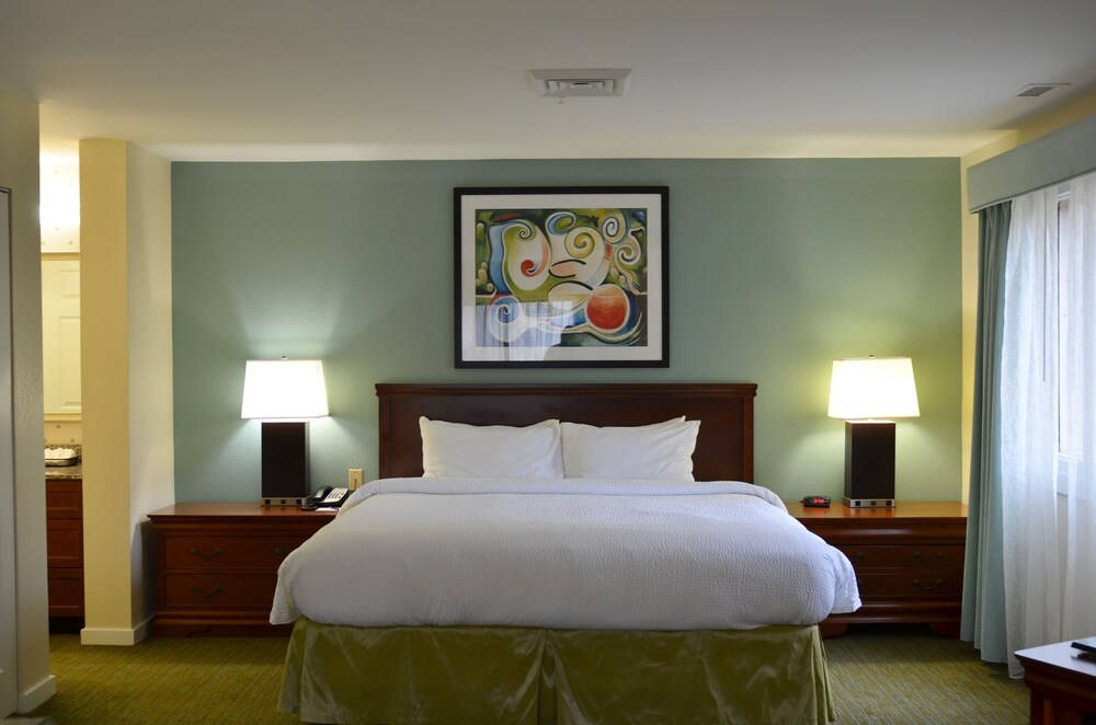 Studio, 1 King Bed with Sofa bed - Guestroom