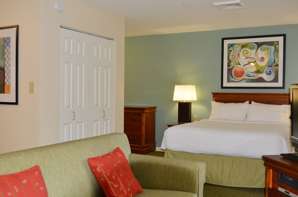 Studio, 1 Queen Bed with Sofa bed - Guestroom