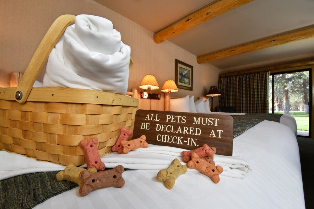 In-Room Amenity