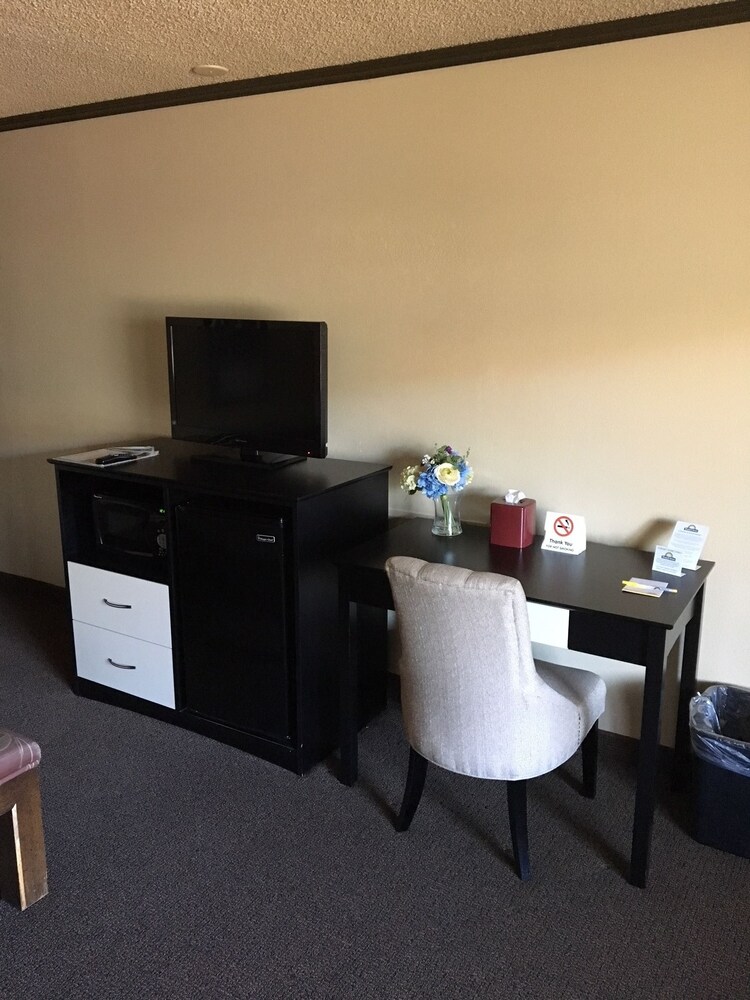 Mini-Refrigerator