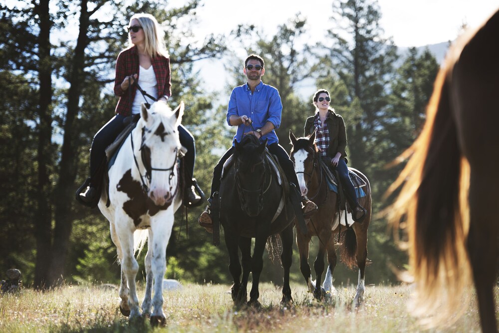 Horse Riding