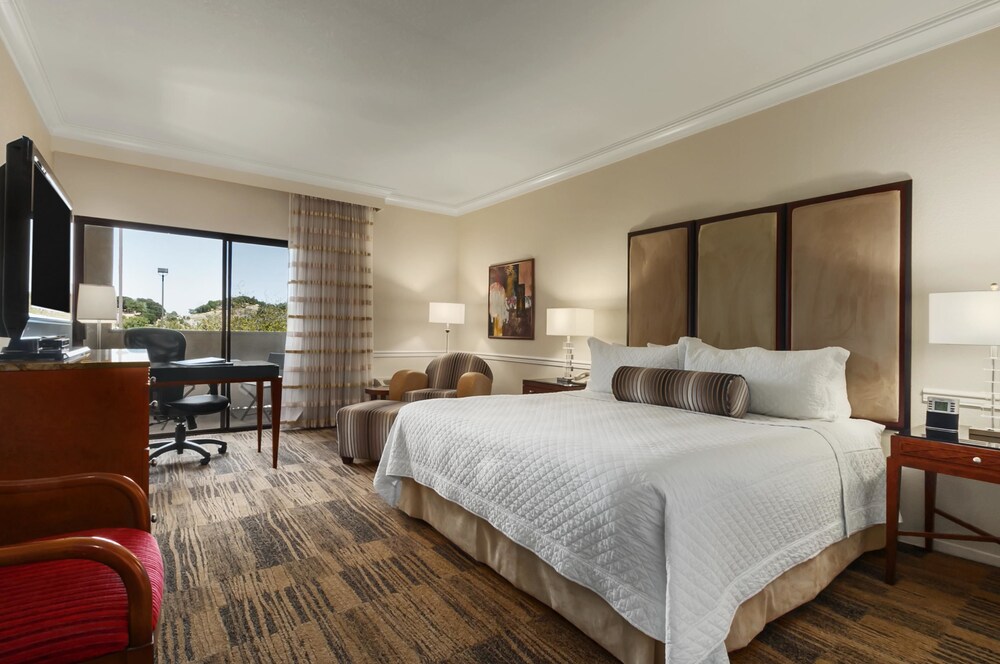 Guestroom View
