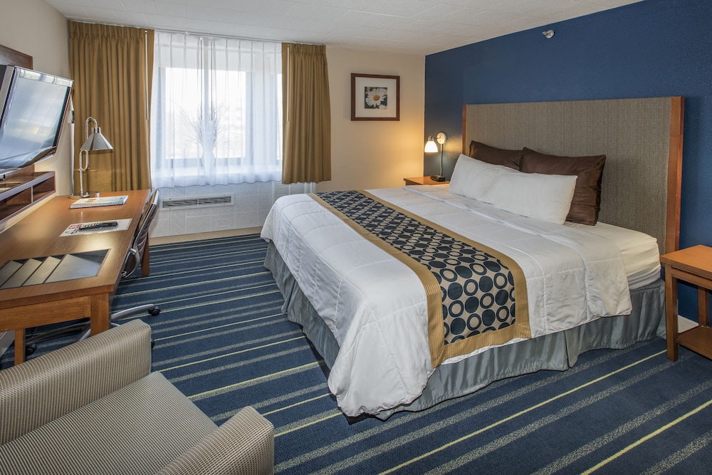 Guestroom View