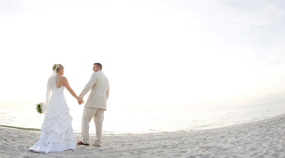 Outdoor Wedding Area