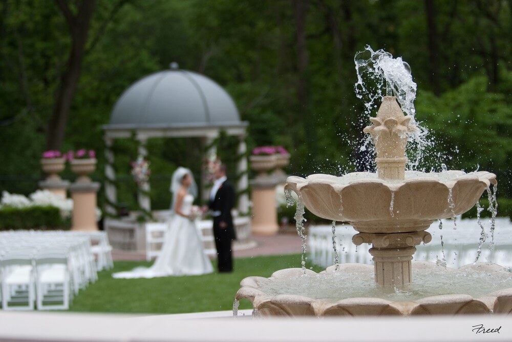 Outdoor Wedding Area