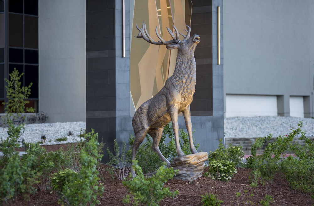 Hotel Entrance