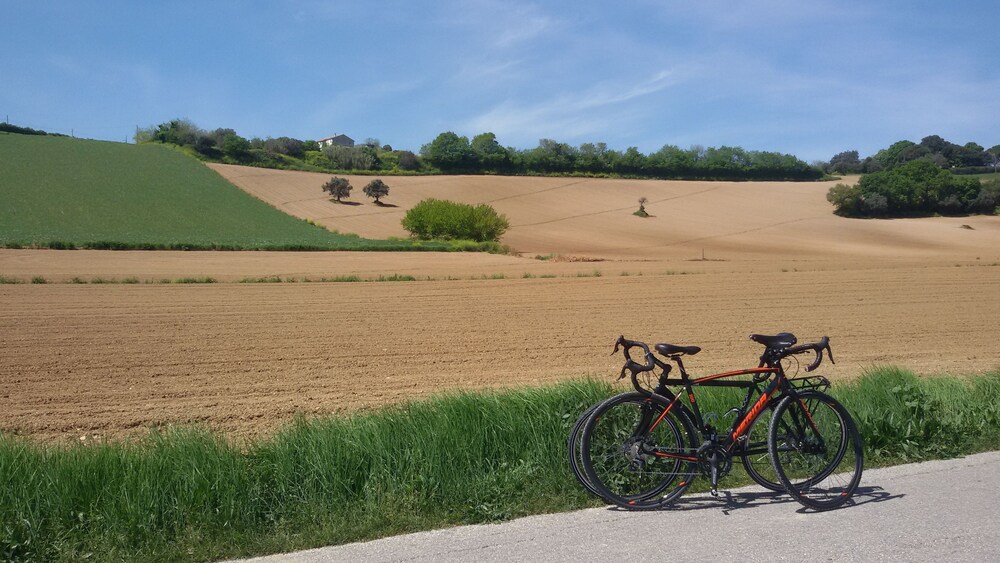 Bicycling