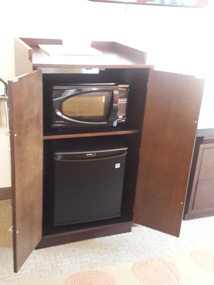 Mini-Refrigerator