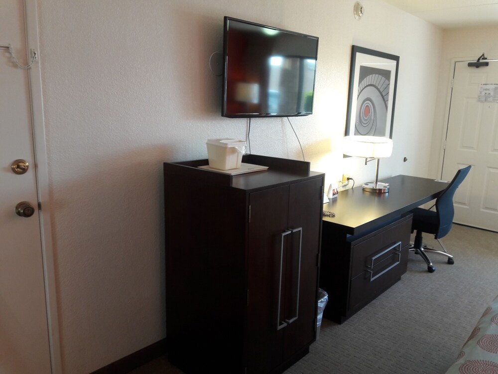 Guestroom View
