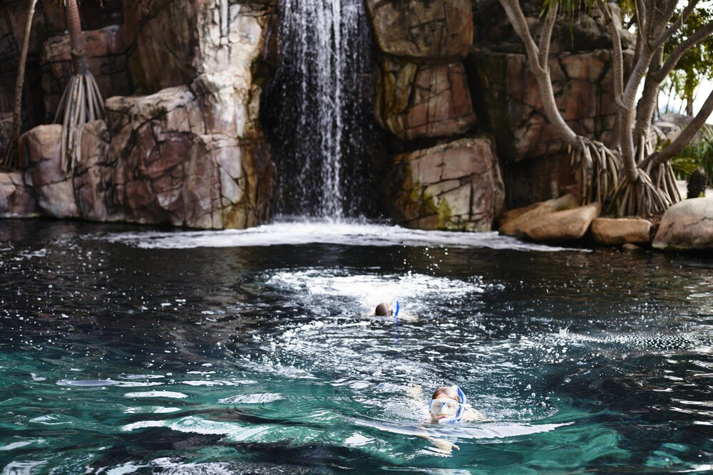 Pool Waterfall