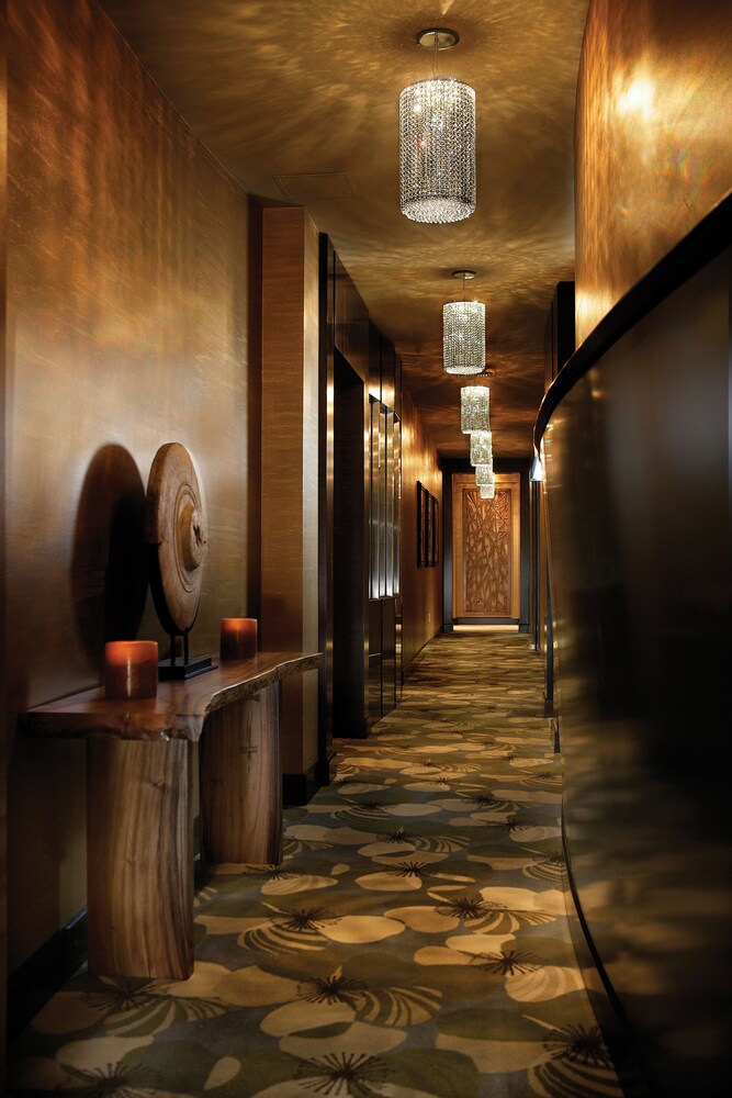 Spa Reception