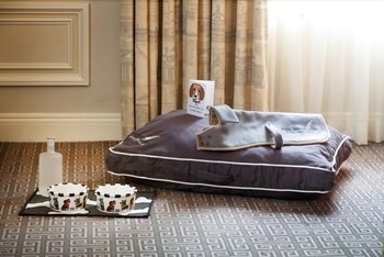 In-Room Amenity