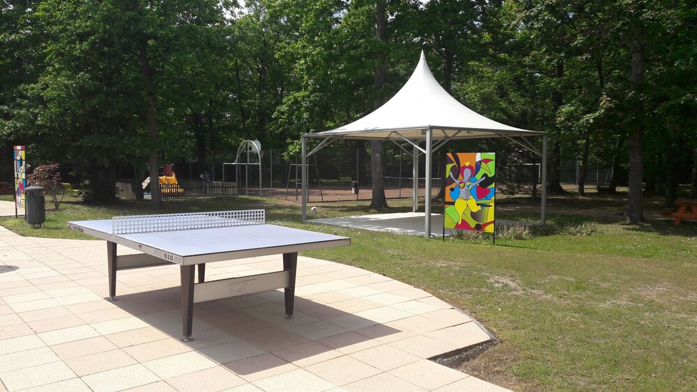 Children’s Activities