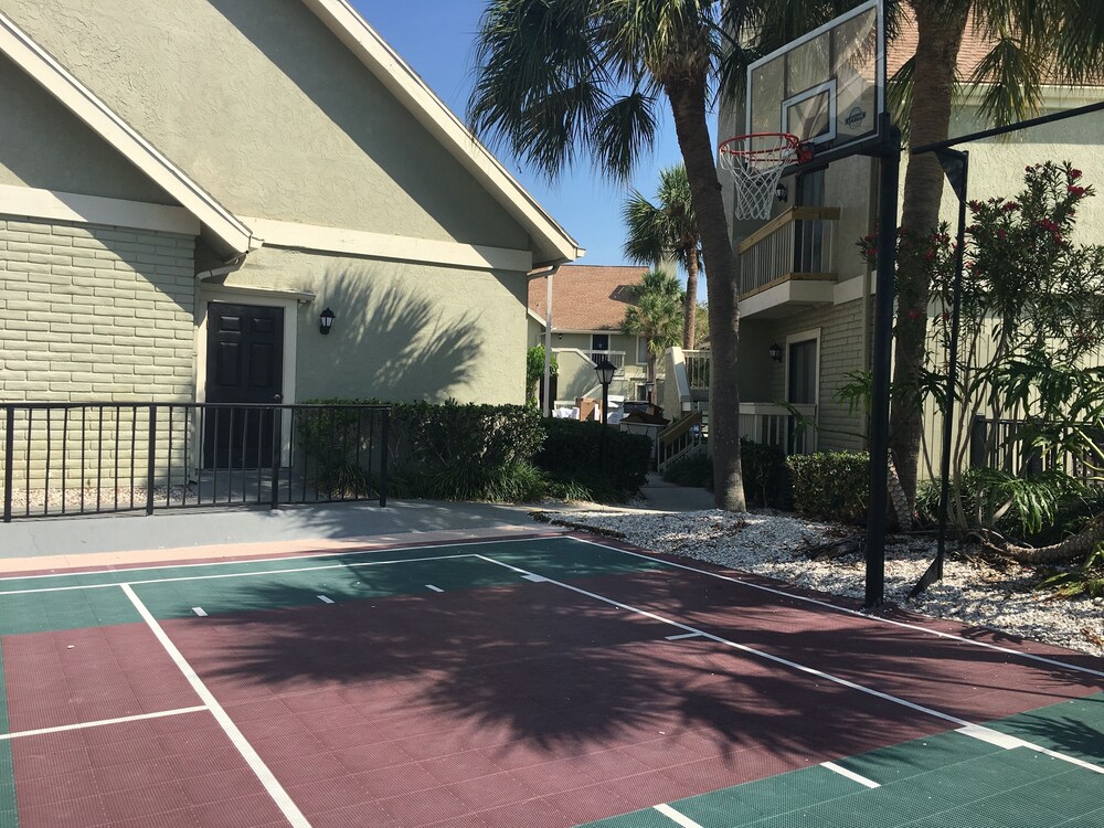 Basketball Court