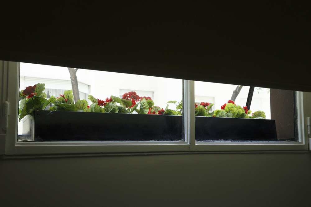 Guestroom View