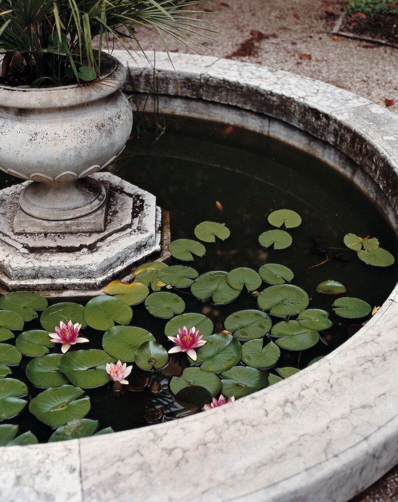 Fountain