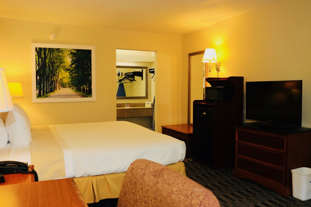 Guestroom View