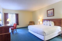 Room, 1 King Bed