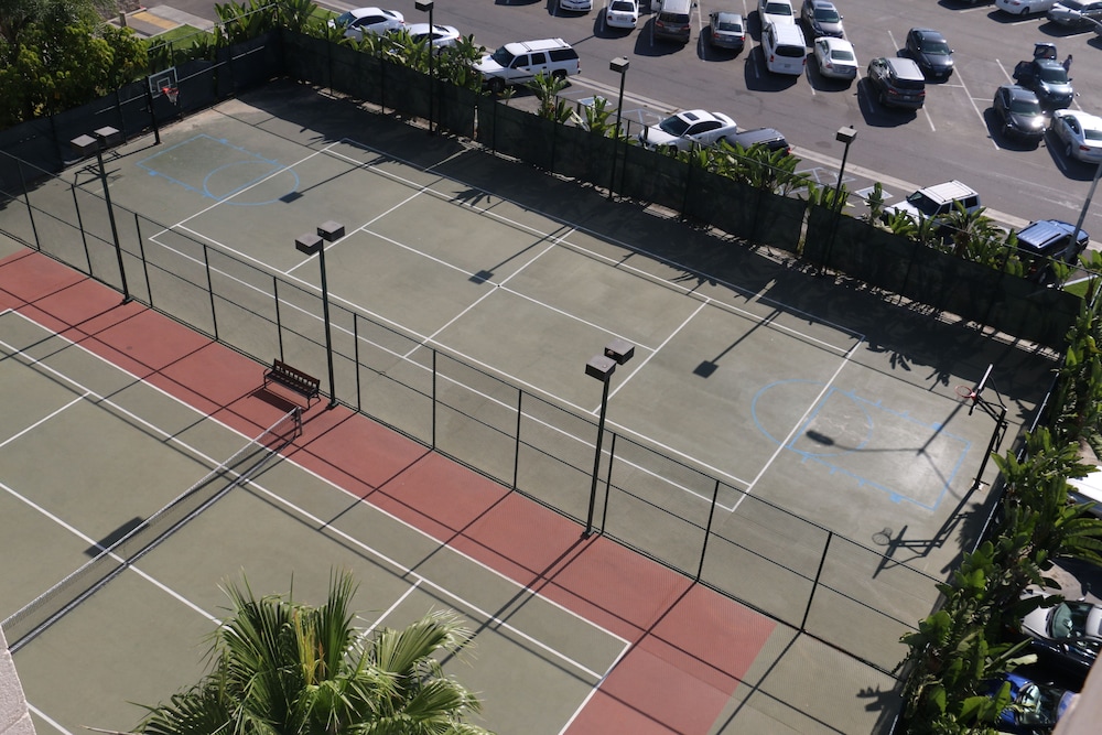 Basketball Court