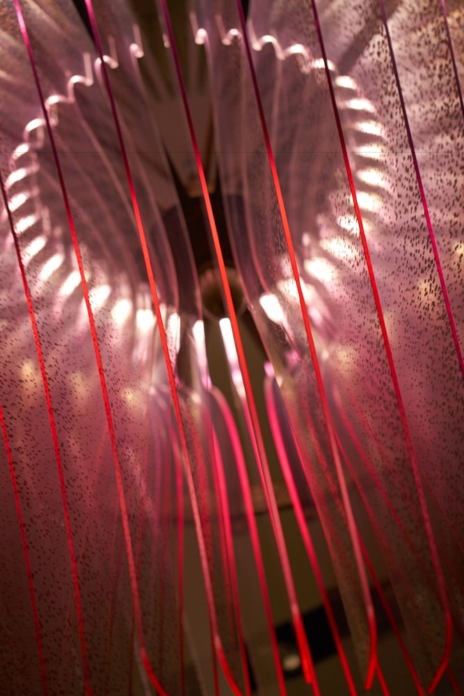 Innendetails