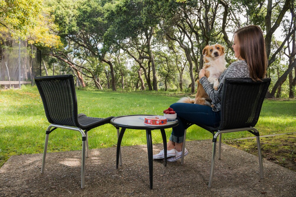 Pet-Friendly