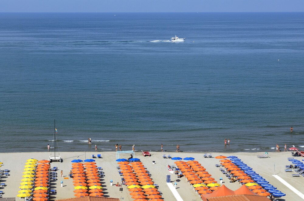 Beach/Ocean View