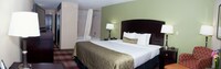 Standard Room, 1 King Bed, Non Smoking, Refrigerator & Microwave
