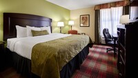 Standard Room, 1 King Bed, Non Smoking, Refrigerator & Microwave