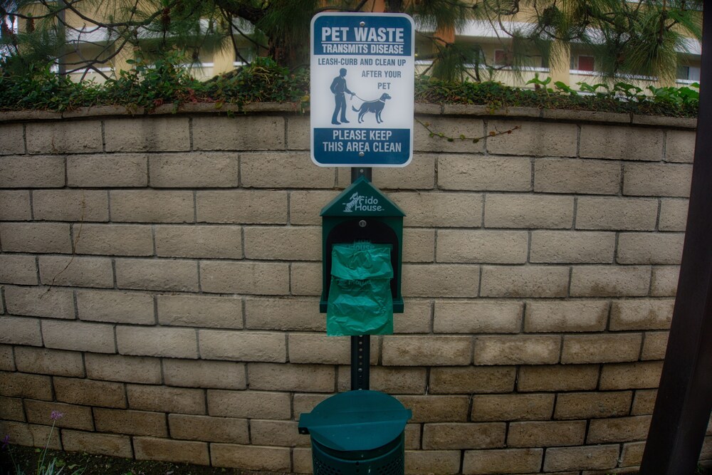 Pet-Friendly