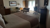 Standard Room, 1 King Bed, Non Smoking, Jetted Tub