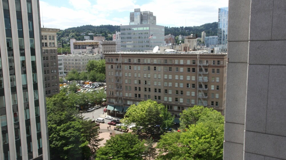 Guestroom View