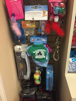 Miscellaneous