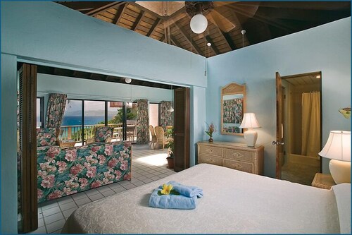 Superior Suite - Guestroom