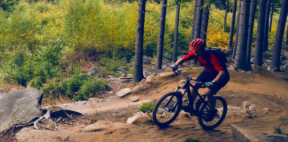 Bicycling