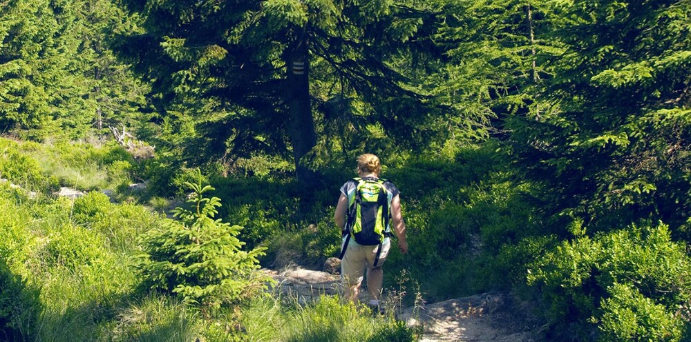 Hiking